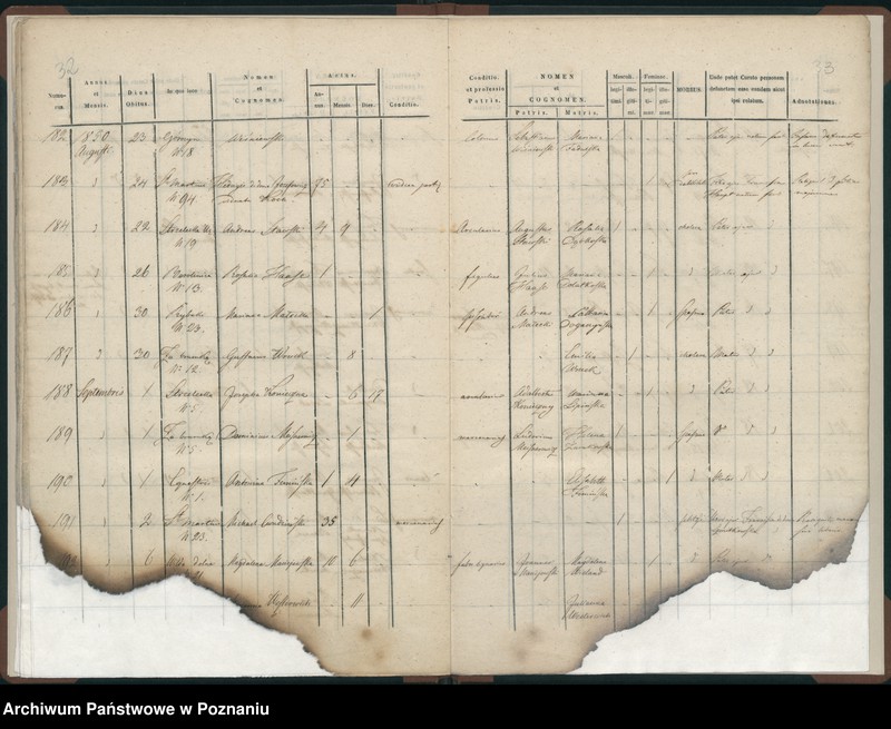 Obraz 19 z jednostki "Księga zgonów"