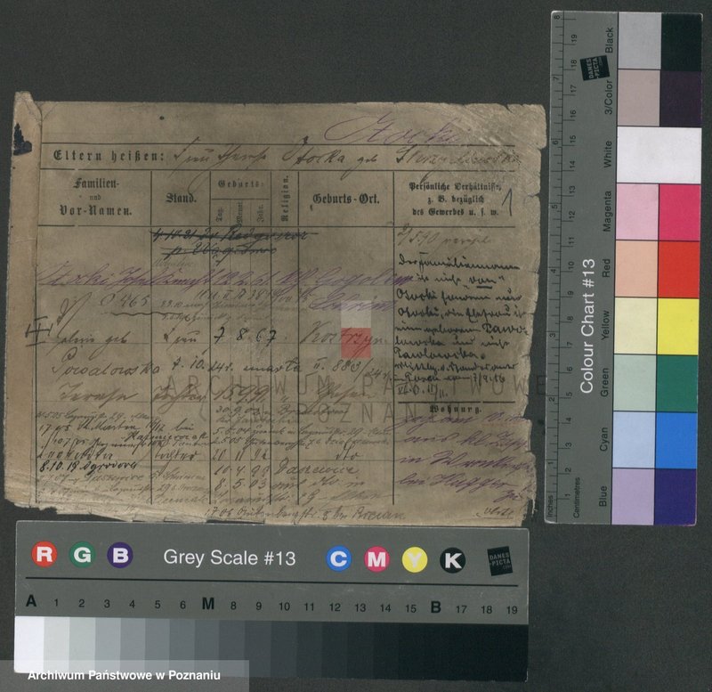 Obraz 1 z jednostki "Otocki - Owczarz"