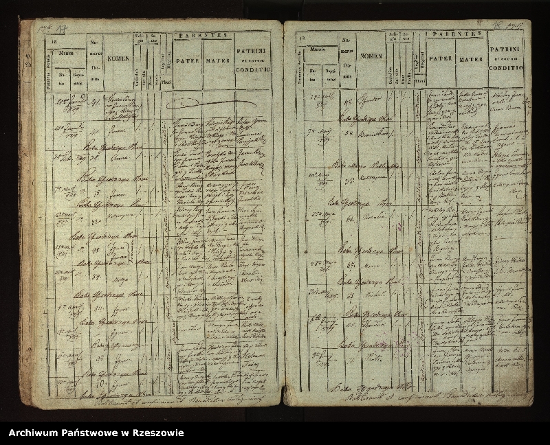 image.from.unit.number "Księga urodzeń dla miejscowości Stefkowa"