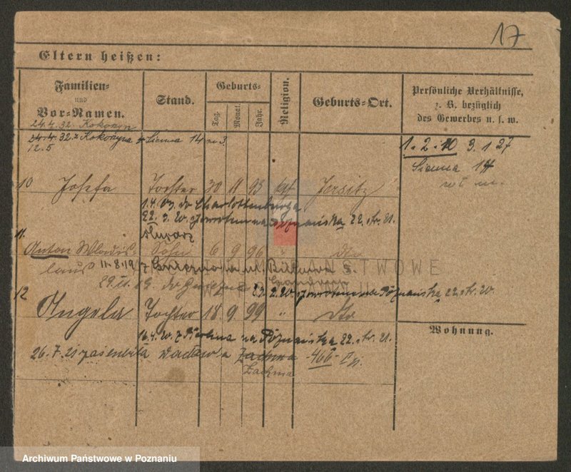 Obraz 17 z jednostki "Nagelfeld - Najgrakowski"