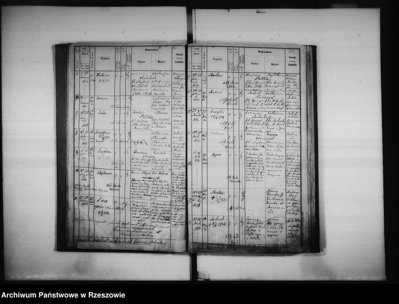 image.from.unit.number "Księga urodzeń Biała, Matysówka, Zalesie Drabinianka, Rzeszów, Tyczyn"