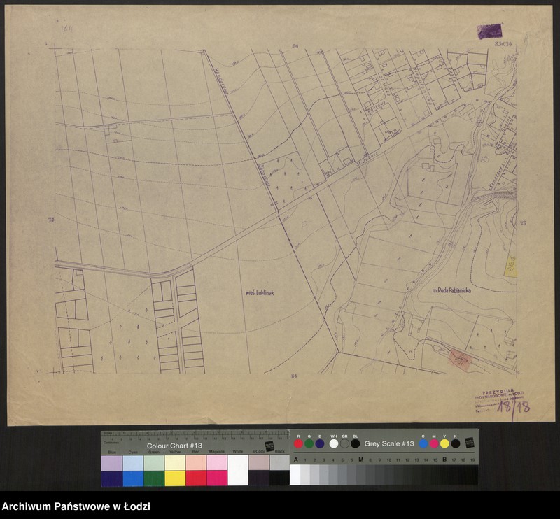 Obraz 1 z jednostki "Plan m. Łodzi 1:2000 z oznaczeniem nieruchomości niezabudowanych lub niedostatecznie zabudowanych. Sekcja SW74"