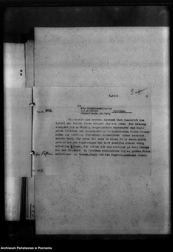 Obraz 13 z jednostki "Gräber in Petrikau (Piotrków Trybunalski)"