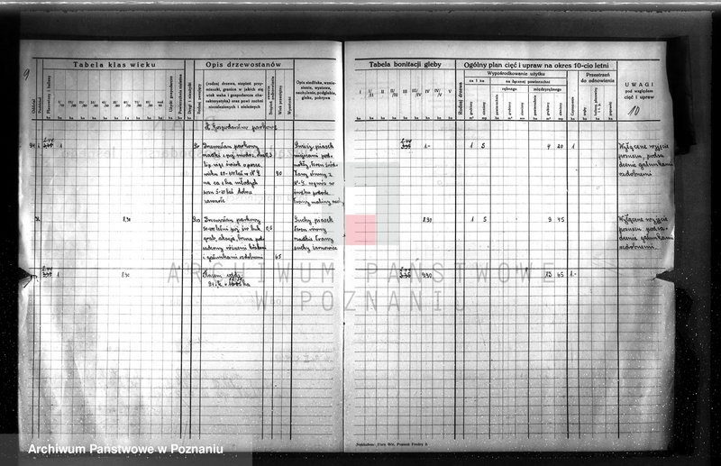 image.from.unit.number "Dodatkowy plan urządzenia gospodarstwa leśnego dla lasu ordynacji Obrzycko powiat szamotulski 1937-1938"