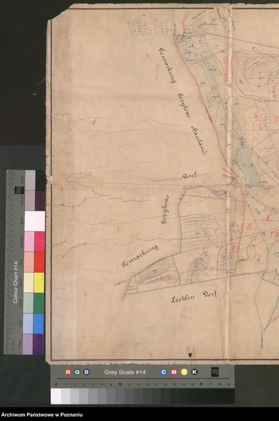 Obraz 4 z jednostki "Karte von dem Rittergute Lechlin nebst Zubehör im Kreise Wongrowitz [mapa majątku Lechlin, wraz z przyległościami, w pow. wągrowieckim]"