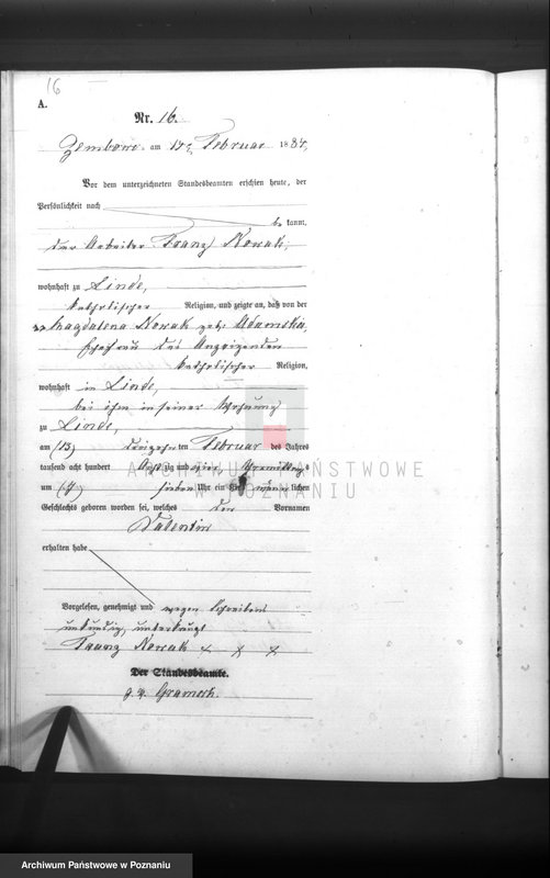 Obraz 18 z jednostki "Księga urodzeń"