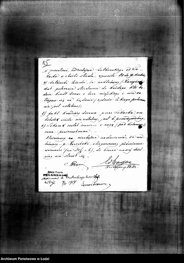 Obraz 18 z jednostki "Akta w sprawie Nomberga Dawida s. Haskla i innych, a mianowicie Bergera Hila syna Icka oskarżonych o kradzież"