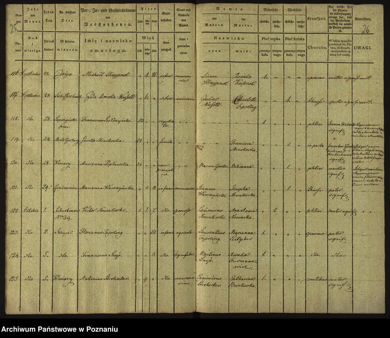 Obraz 16 z jednostki "Księga zgonów"