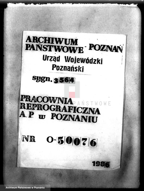 Obraz 14 z jednostki "Las majątku Krzycko Wielkie powiat leszczyński"
