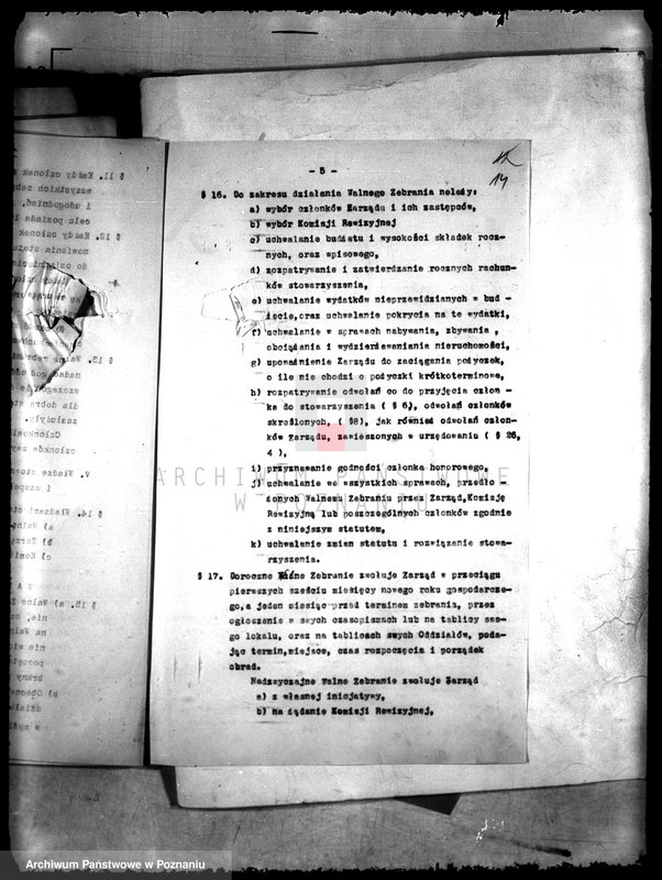 Obraz 18 z jednostki "Wielkopolski Związek Pszczelarski"