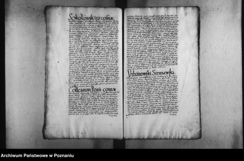 Obraz 11 z jednostki "Decreta [inducta]"