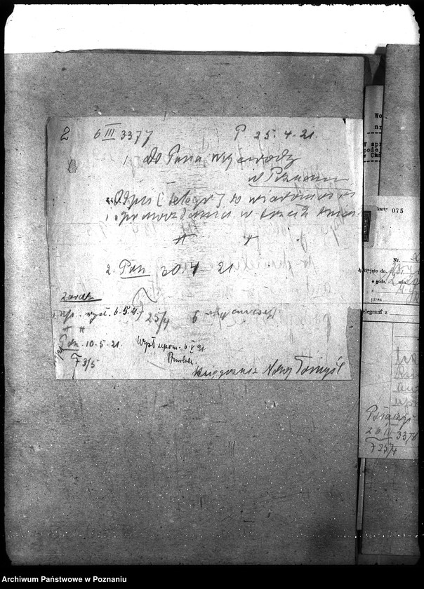 Obraz 6 z jednostki "Księgosusz - Nowy Tomyśl"