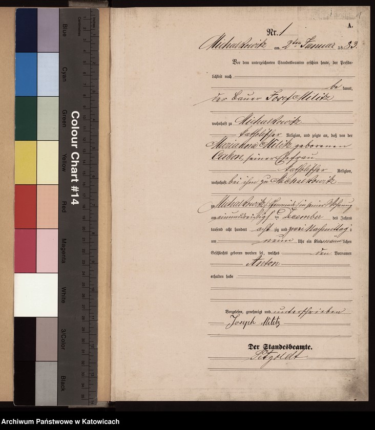 Obraz z jednostki "[Księga urodzeń za rok 1883, nr 1-96]"