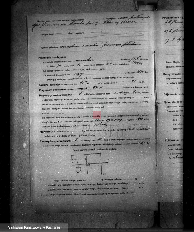 Obraz 9 z jednostki "Poznańska Termochemiczna Przetwórnia padliny Poznań-Główna nr woj. 167 pierwszy własność Bracia Drabińscy tartak w Janówcu pow. żniński"
