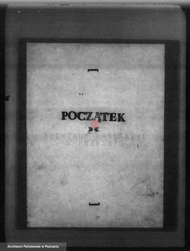 Obraz 3 z jednostki "Zalesienie nieużytków w powiecie poznańskim"