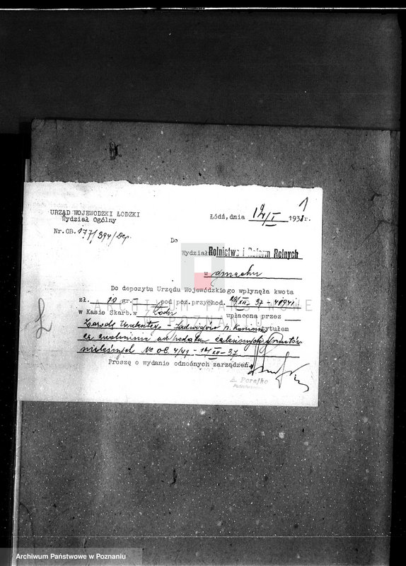 Obraz 5 z jednostki "Gmina Piorunów powiat turecki /nadzór nad gospodarką leśną/"