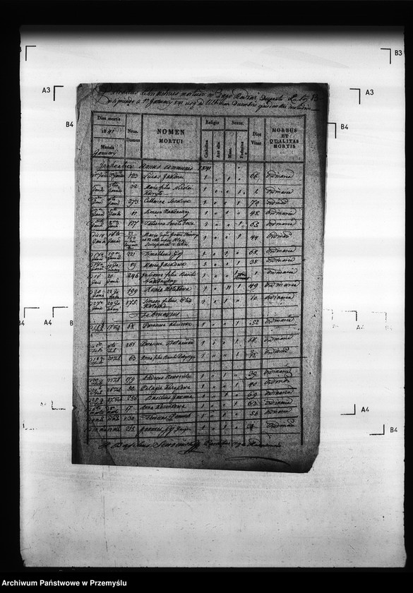 image.from.unit.number "[Kopie ksiąg metrykalnych parafii Radruż (dekanat Niemirów)]"