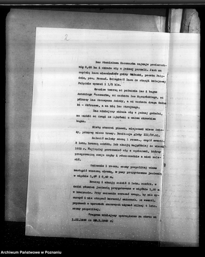 Obraz 6 z jednostki "Program urządzenia gospodarstwa leśnego lasu St. A i M Kaczmarków w gminie Gołuski powiat poznański 1930-1940"