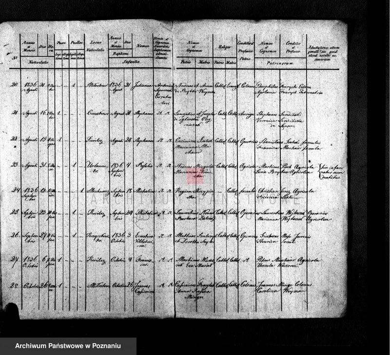 Obraz z jednostki "Liber duplicatus baptisatorum"