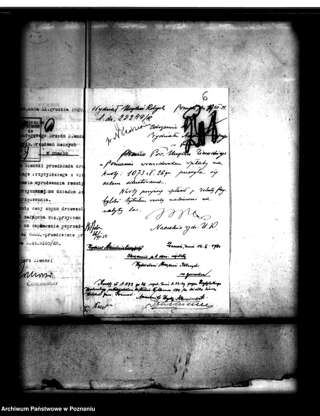 Obraz 10 z jednostki "Parcelacja lasu Witobel XV powiatu poznańskiego Walenty Przybylski"