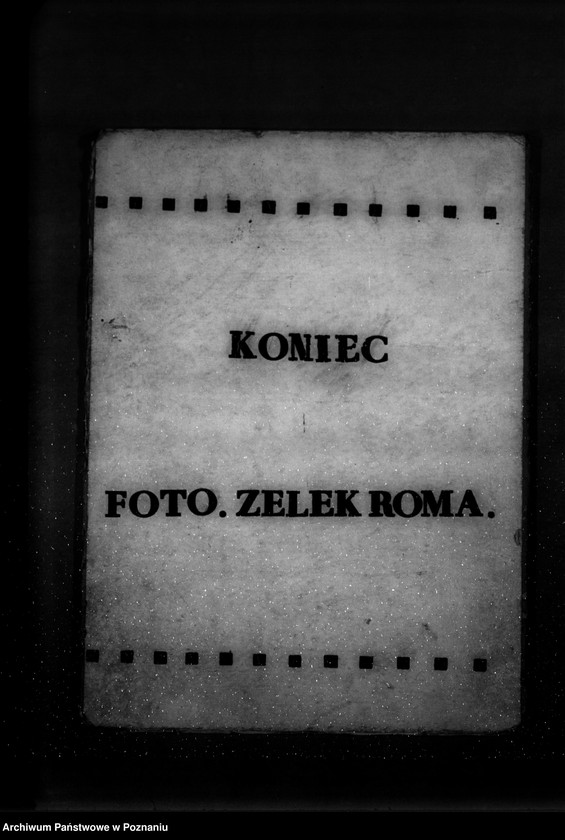 Obraz 15 z jednostki "Parcele leśne p.n.,,Ewelin" gmina Niewiesz powiat turecki"