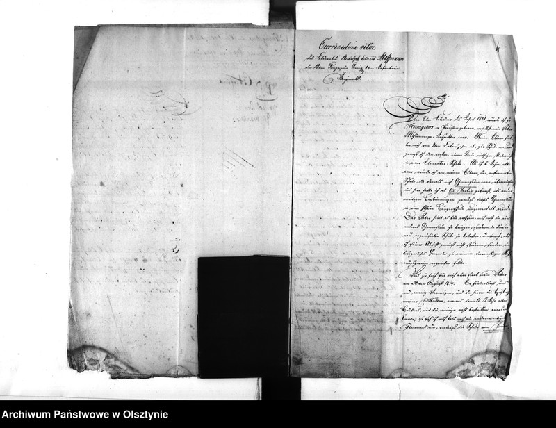 image.from.unit.number "Anstellung des Feldwebel Hoffmann [Rudolph Eduard] jetzigen Regierungs-Büreau Assistenten"
