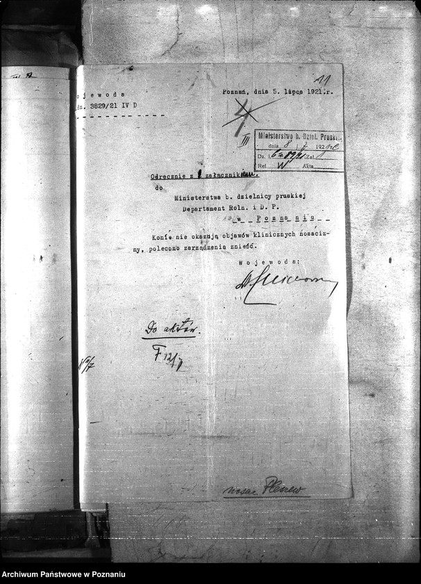 Obraz 15 z jednostki "Nosacizna - Pleszew"