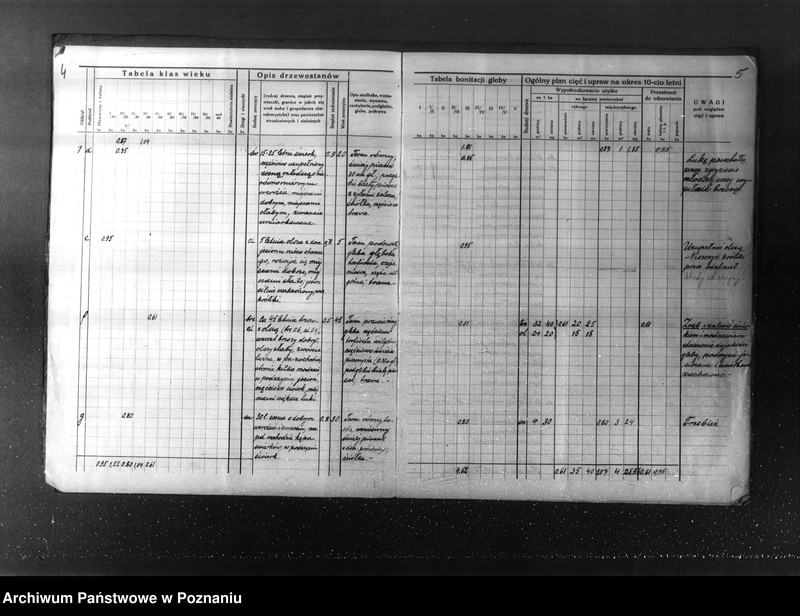 Obraz 7 z jednostki "Plan urządzenia gospodarstwa leśnego dla lasu majętności Kuleczyn w powiat nowotomyski 1933-1943"