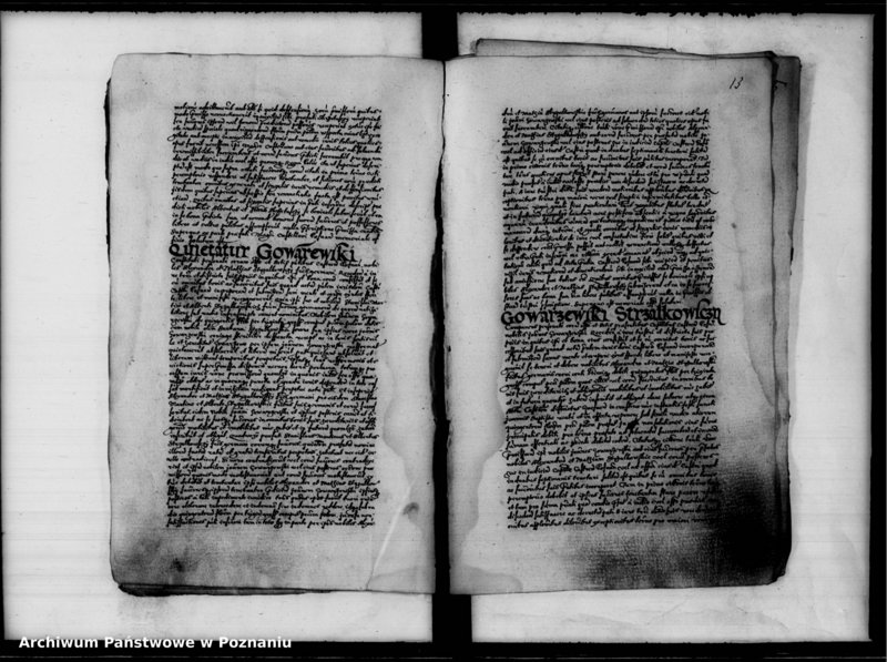 Obraz 16 z jednostki "Inscriptiones, relationes [inducta]"