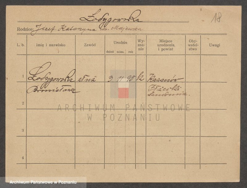 Obraz 18 z jednostki "Łodygowski - Łopuszyński"