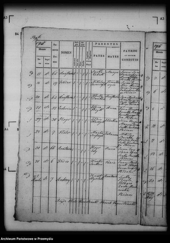 image.from.unit.number "[Kopie ksiąg metrykalnych parafii Paportno z filią Sopotnik i Kropiwnik (dekanat Dobromil)]"