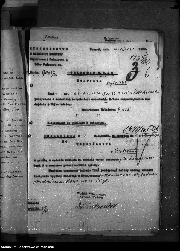 Obraz 10 z jednostki "Nosacizna - Bydgoszcz"