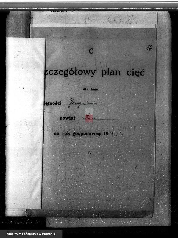 Obraz 20 z jednostki "/Nadzór nad gospodarką w lasach majątku/ Jarogniewice powiat kościański 1936-1946"