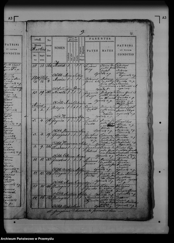 Obraz 14 z jednostki "[Kopie ksiąg metrykalnych parafii Dziewięcierz (dekanat Rawa Ruska)]"