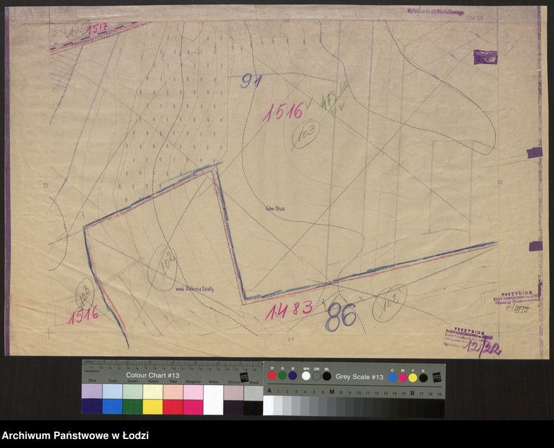 Obraz 1 z jednostki "Plan m. Łodzi 1:2000 z oznaczeniem podziału miasta na obwody i rejony spisowe. Sekcja SW26"