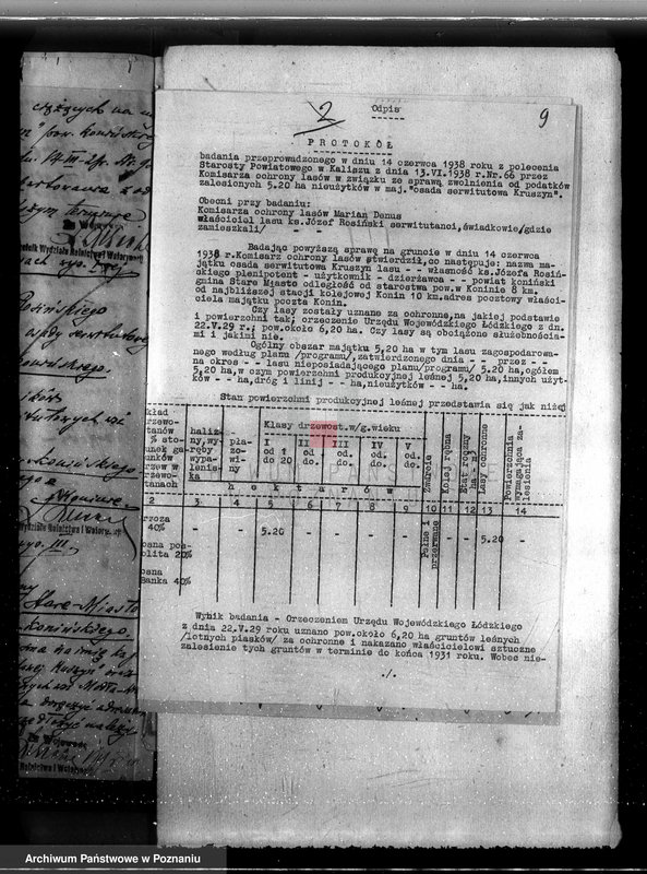 Obraz 13 z jednostki "Majątek Staremiasto powiat koniński /nadzór nad gospodarką leśną/"