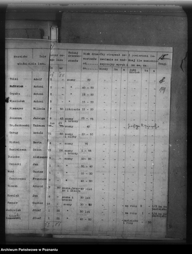 Obraz 18 z jednostki "Lasy do 30 ha na terenie powiatu poznańskiego"