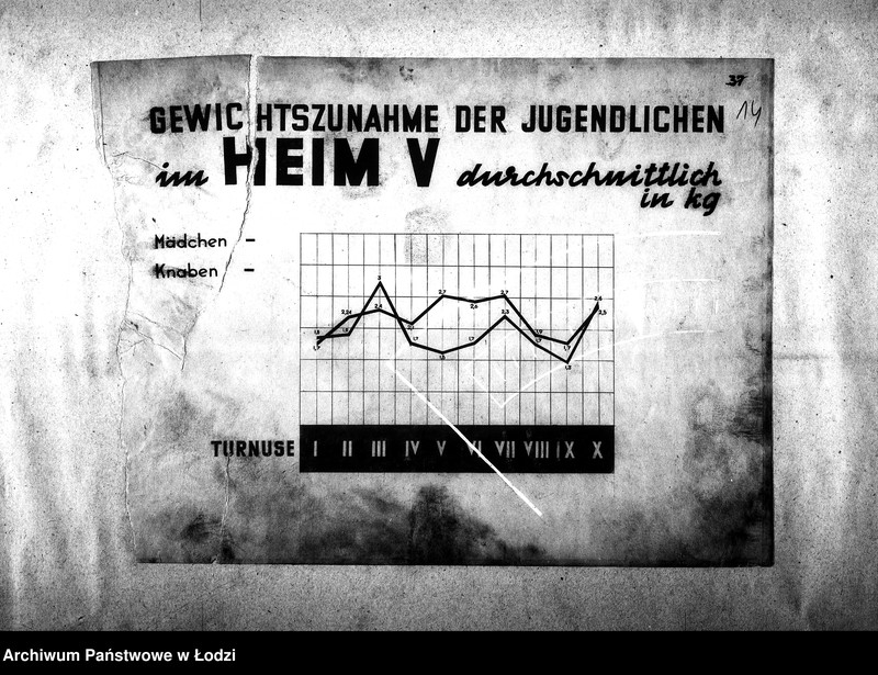 Obraz 17 z jednostki "[Album poświęcony sprawom specjalnych przydziałów żywnościowych]"