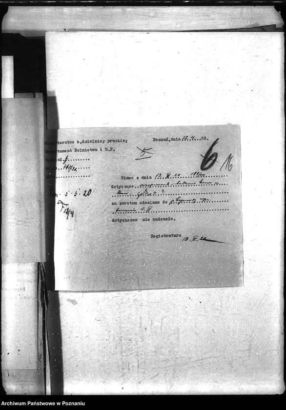 Obraz 20 z jednostki "Nosacizna - Gostyń"