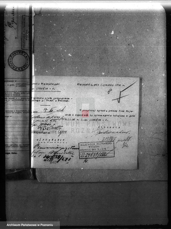 Obraz 13 z jednostki "Majętność leśna Mniszki w powiecie międzychodzkim"