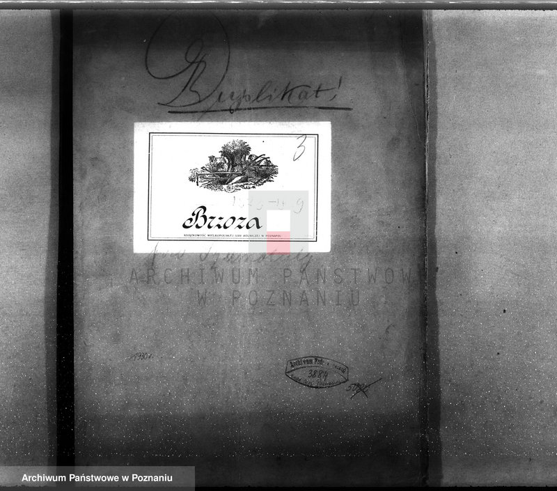 Obraz 4 z jednostki "Plan urządzenia gospodarstwa leśnego dla lasu majętności Brzoza powiat szamotulski 1929-1939"