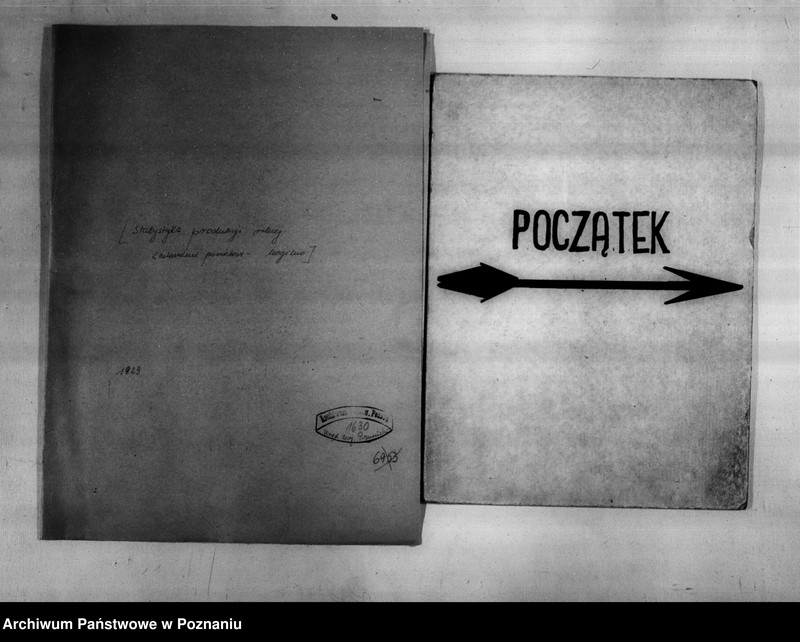 Obraz 2 z jednostki "/Statystyka produkcji rolnej - zestawienie powiatowe - Mogilno/"