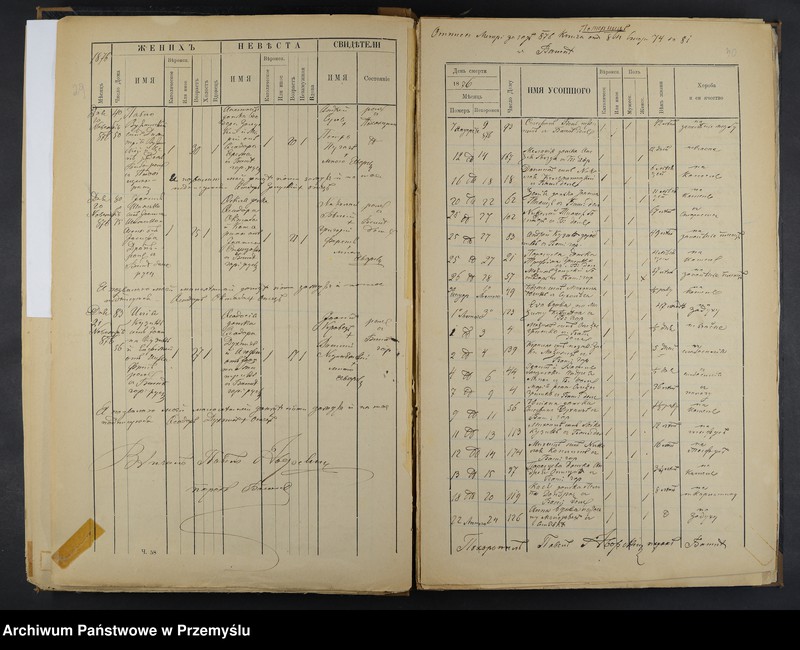 image.from.unit.number "[Odpisy księgi urodzeń, małżeństw, zgonów z lat 1876-1881]"