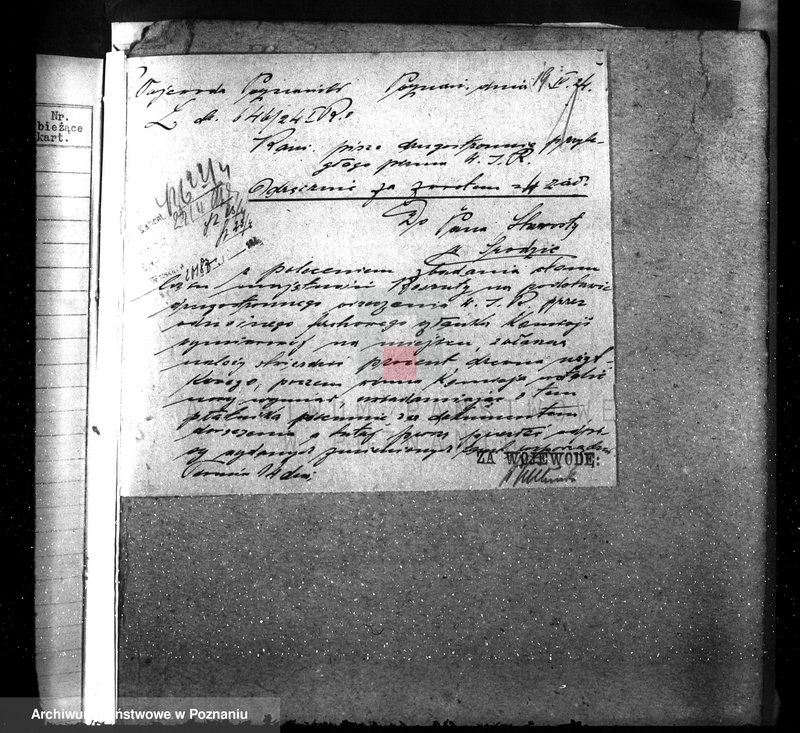 Obraz 5 z jednostki "Nadzór nad gospodarką w lasach majętności Koszuty powiat średzki"