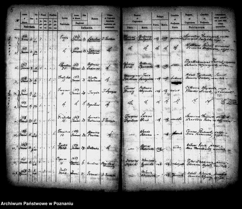 Obraz 4 z jednostki "Księga urodzin"