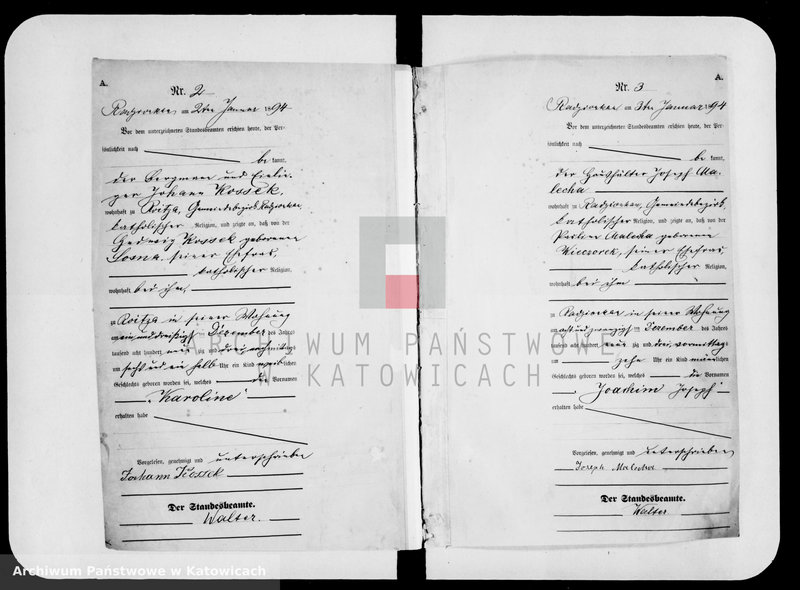 image.from.unit.number "Księga urodzeń za rok 1894 [nr 1-501]"