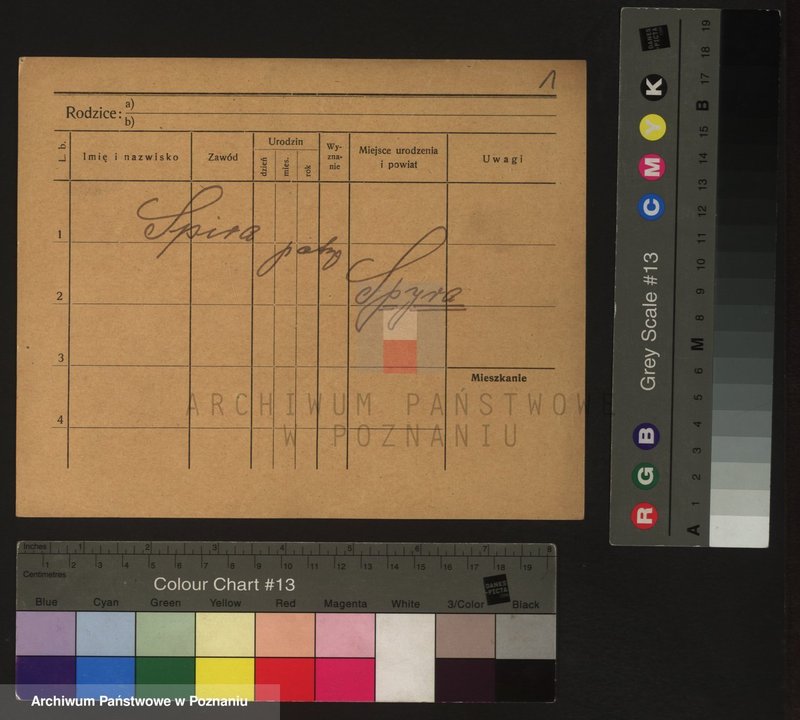 Obraz 4 z jednostki "Śpiewakowski - Spoljarie"