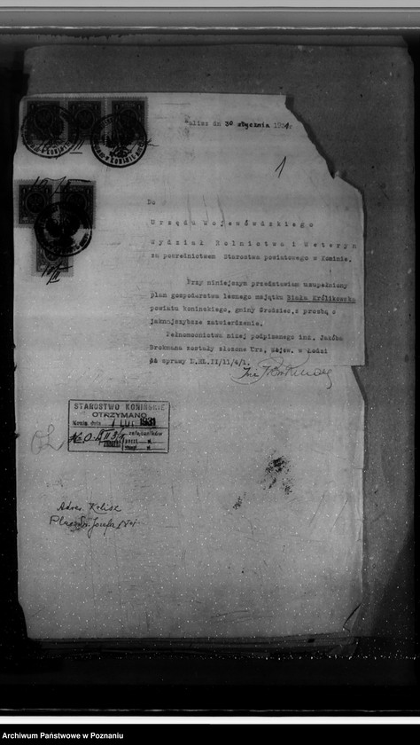 Obraz 5 z jednostki "Sprawa zatwierdzenia uzupełnienia planu gospodarstwa leśnego dla obciążonych służebnościami lasów majątku Biała-Królikowska powiatu konińskiego"