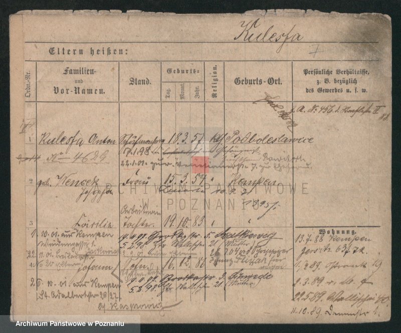 Obraz 6 z jednostki "Kulesz - Kulpacki"