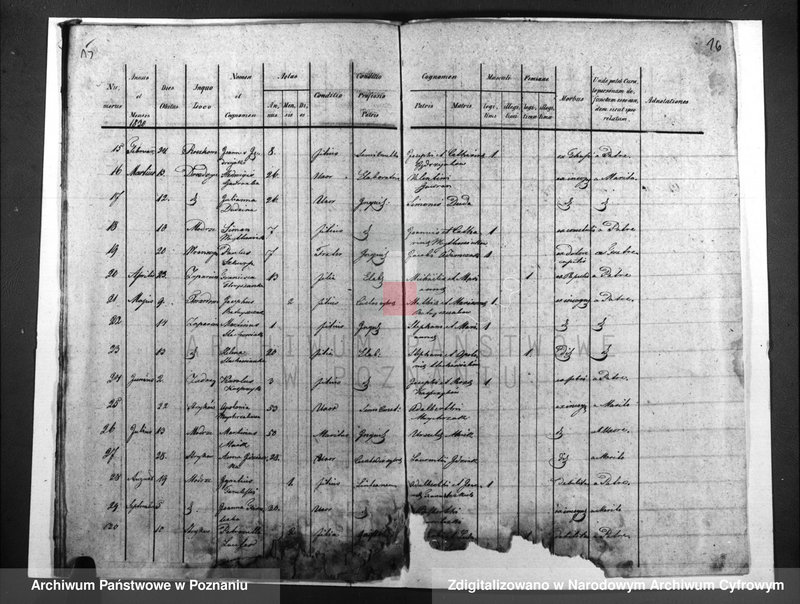 image.from.unit.number "Duplicatus baptisatorum, copulatorum, mortuorum"